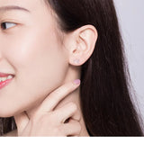 Dog and Bone Stud Earrings  for Girl Sterling Silver 925 Cat Ear Studs Jewelry Bijoux Anti-allergy Jewelry