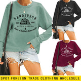 Cross-border SANDERSON ESL Autumn and Winter Round Neck Loose Plus Size Long Sleeve Fashion Sweater