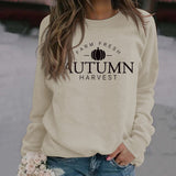 Letters Round Neck Fashion Loose Long-sleeved Large Size Sweater